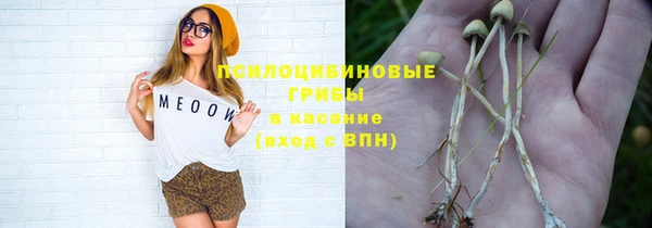 шишки Алзамай