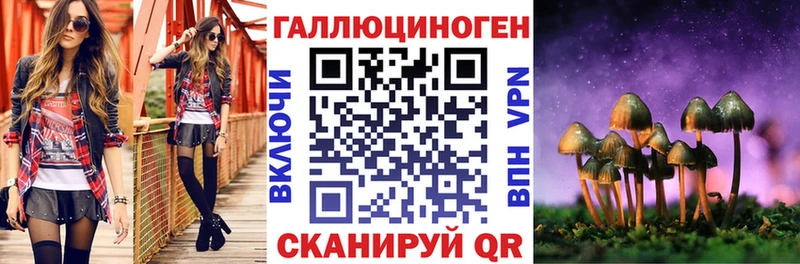 Псилоцибиновые грибы мицелий  Куртамыш 